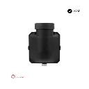 2D TS (5).webp